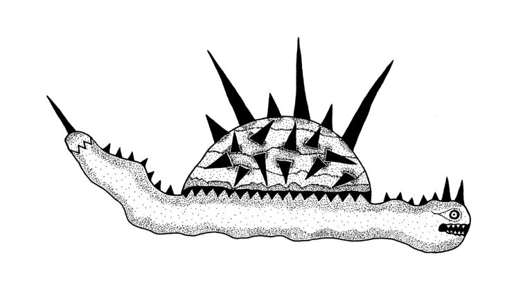 A fantastical creature resembling a turtle with spikes and a serpentine tail.