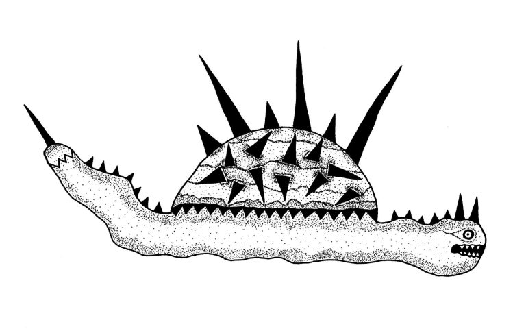 A stylised creature resembling a turtle with spikes and a snake-like body.